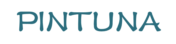 APP Pintuna logo