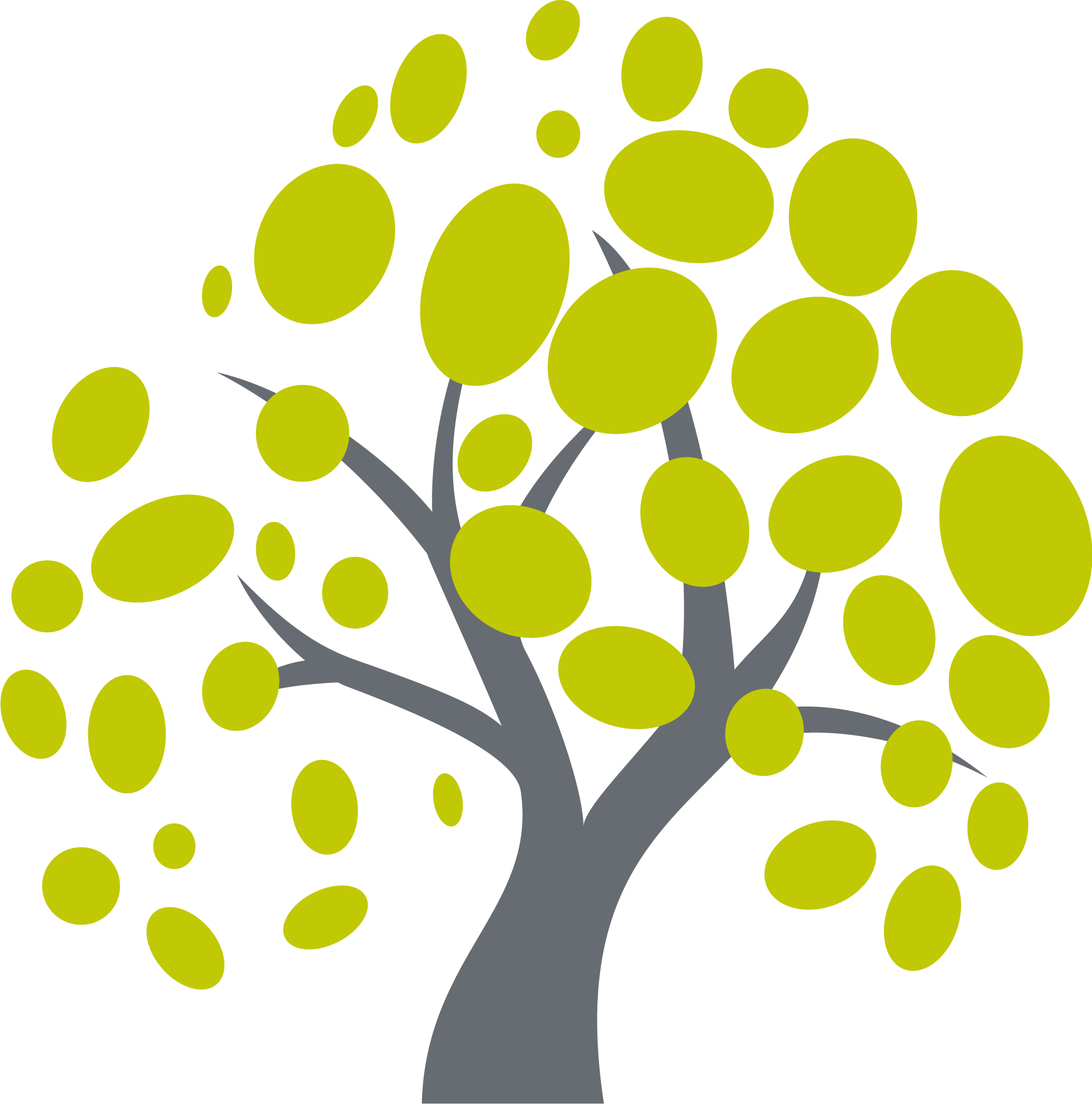 Spitex Lindenhof Oftringen logo